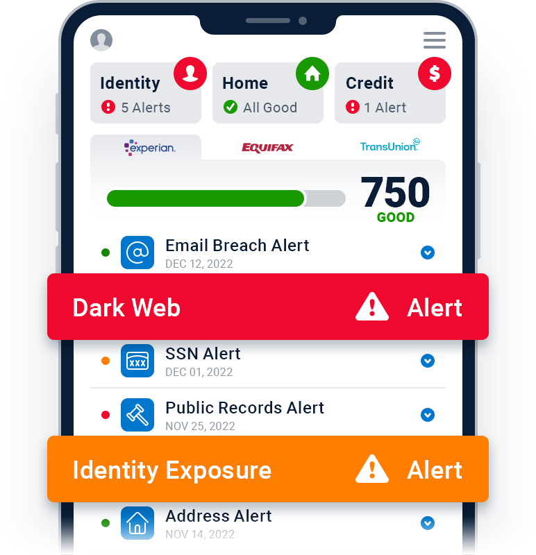 Dark  Scan Monitor the Dark  for Leaked Information IDStrong